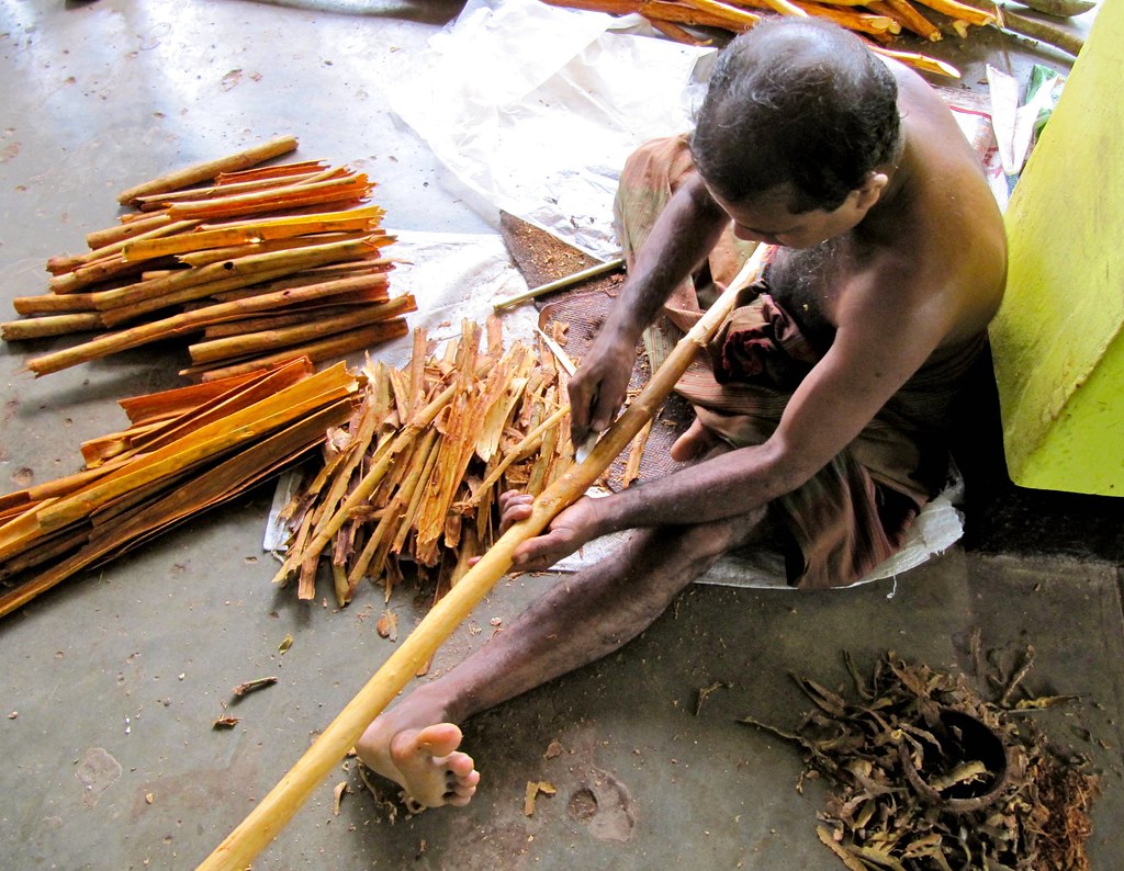 Traditional Harvesting