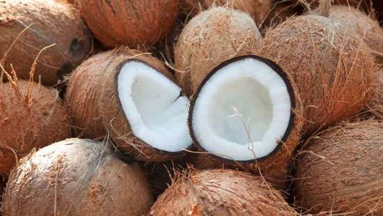 Tropical Fruits